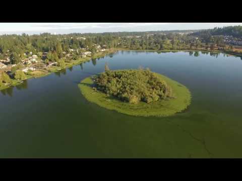 Lake Ballinger Aerial Flyover